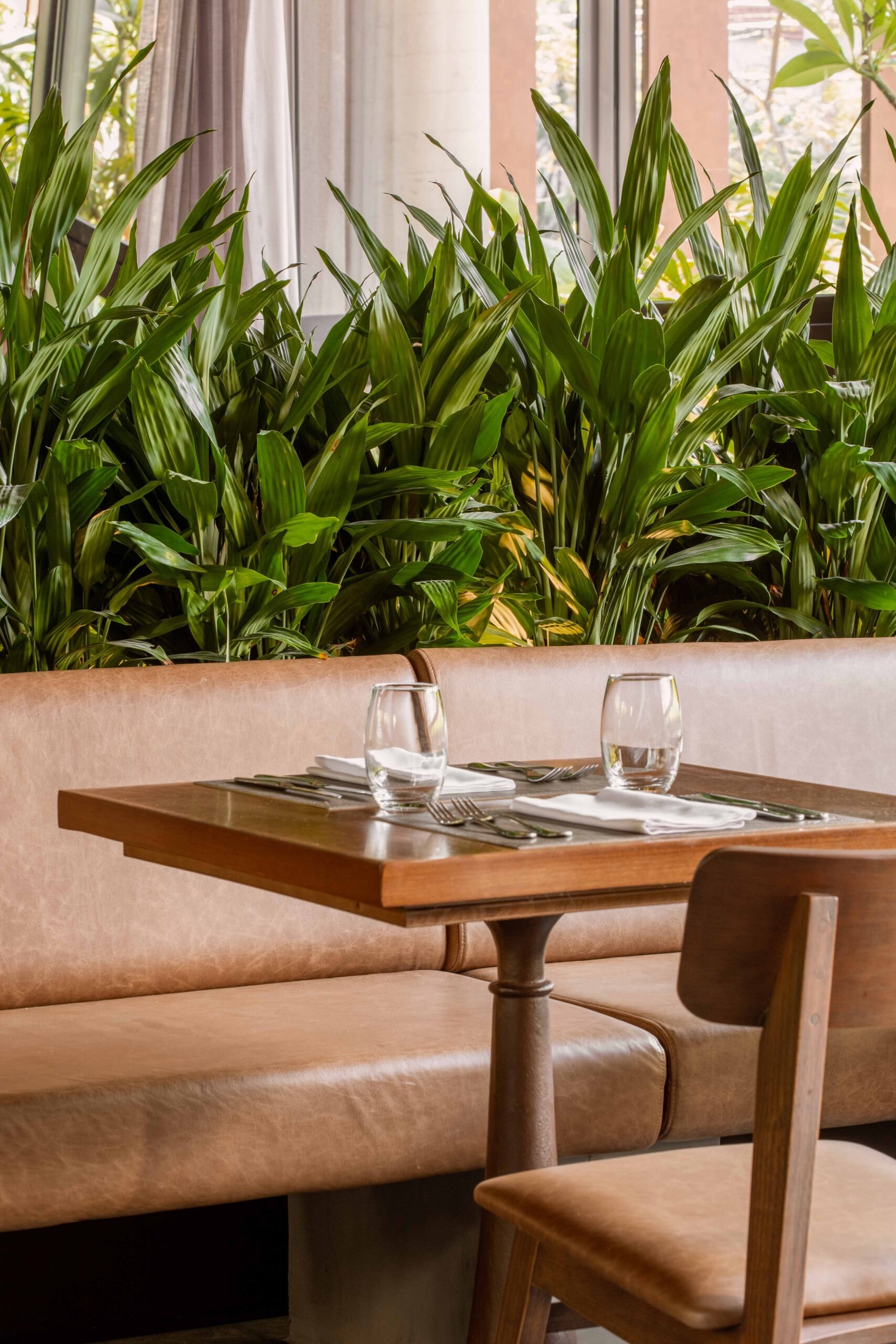 Restaurante Sal 4